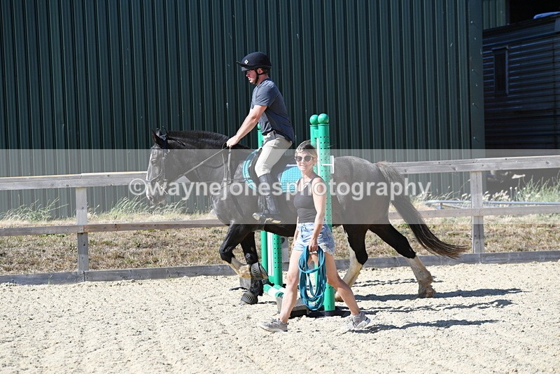 WJ5_5216 - Poles on the Floor