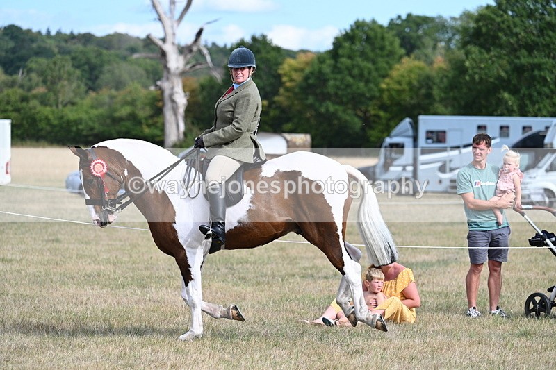 WJ7_7784 - Ridden Championship