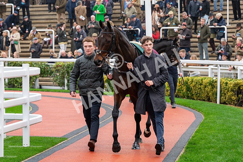 151125-Race 3-July Flower-0803 - Race 3