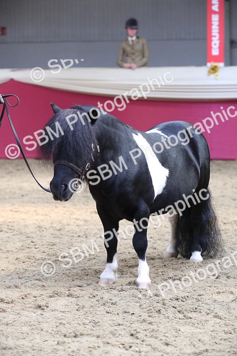 SBM_15336 - Class 501 M&M IH Supreme Final