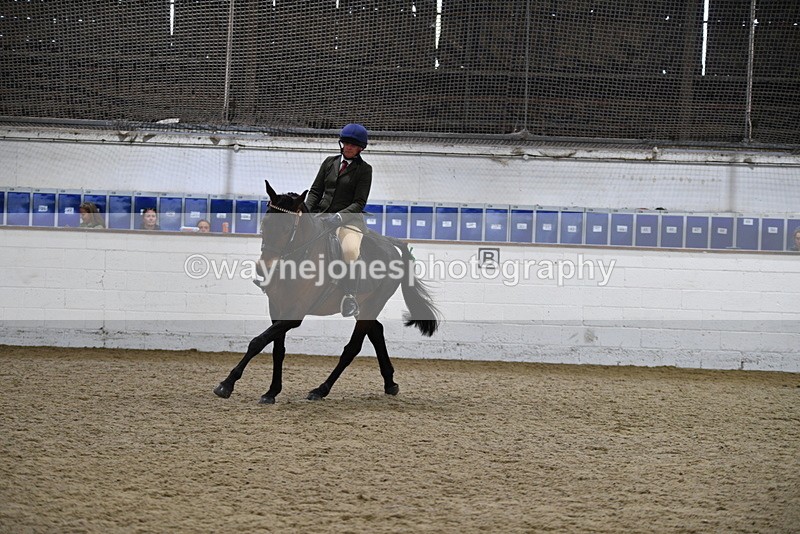 WJ5_8019 - Class 13 Ridden Part Breed