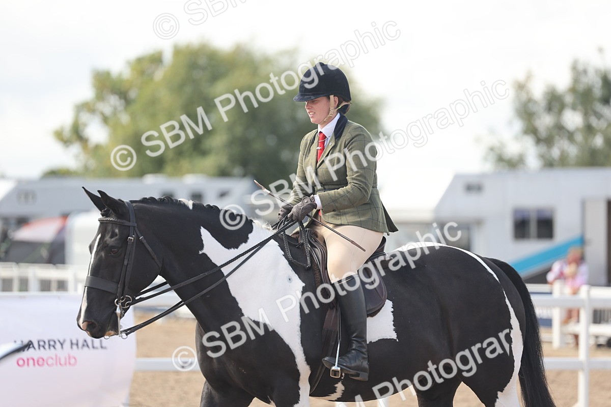 SBM_14819 - Class 308 - Ridden Coloured Horse
