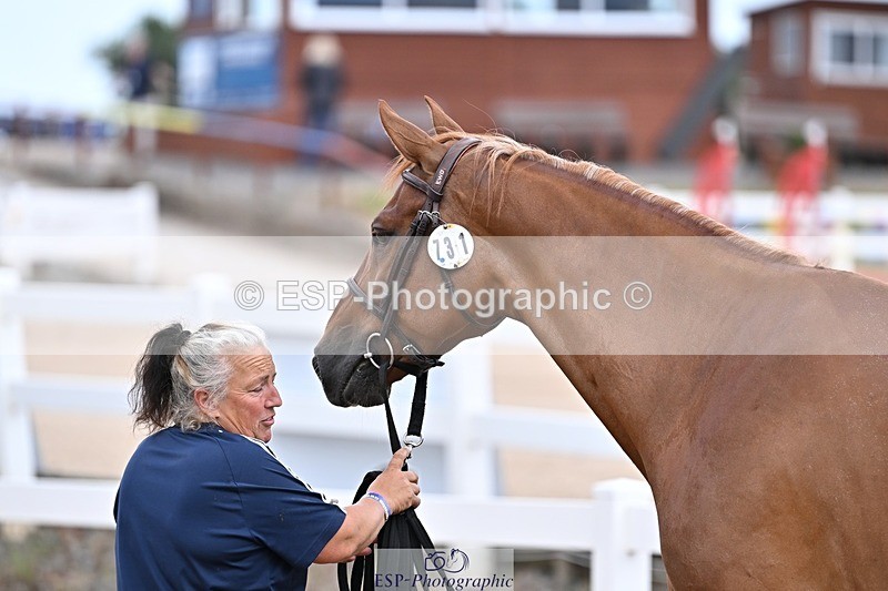 250716-164721-00759 - Trot Up 4.30 to 5.00