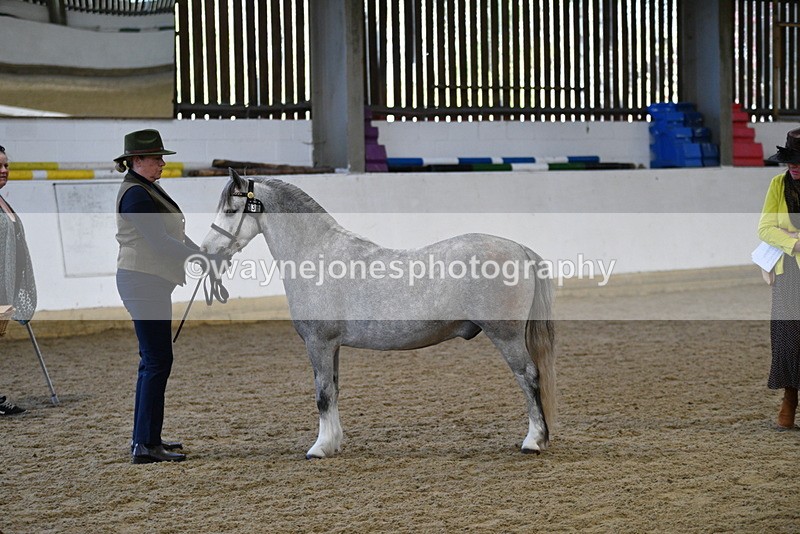 WJ5_3952 - Class 2 Best Condition In hand