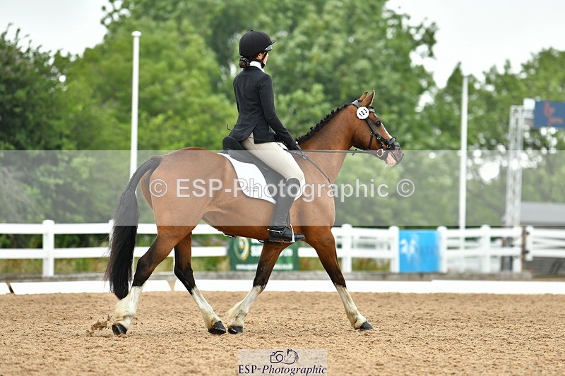 230708A-115411-02661 - Prelim 13