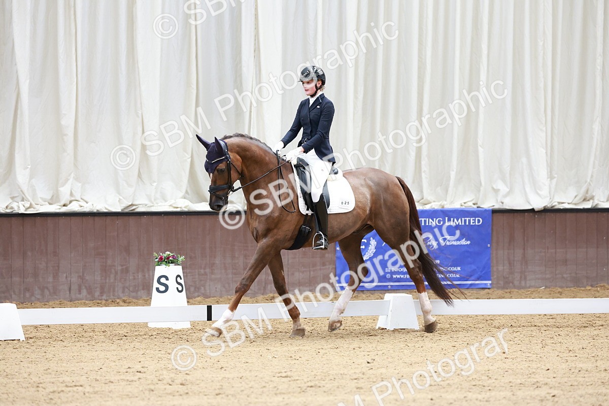 SBM_017702 - Class 15 - FEI Junior