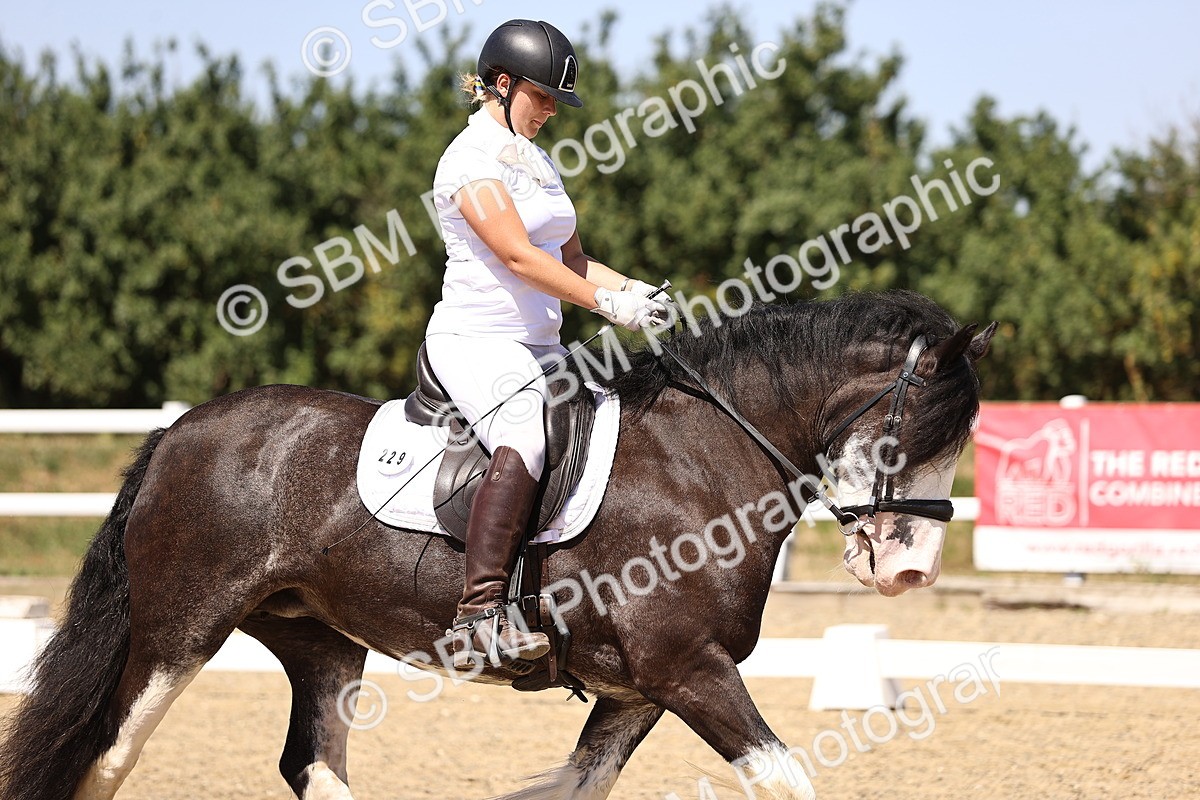 SBM_012274 - Novice 5 - 13.05-14.36