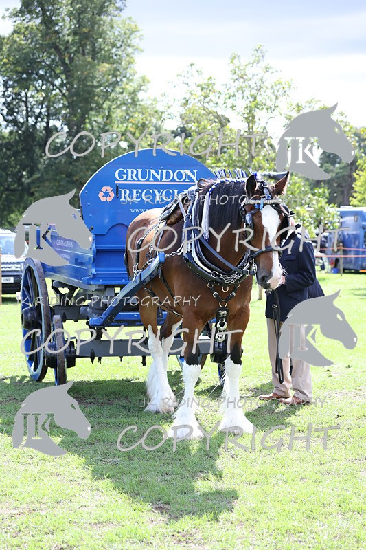 APP_3571 - Class 7 Turnout for a single or pair