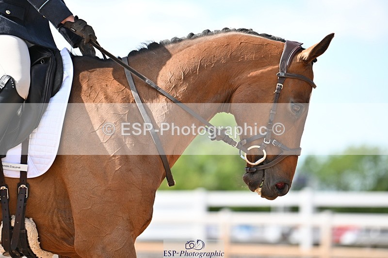 240622A-165056-13228 - Cls 6B+C Novice 30 RoR