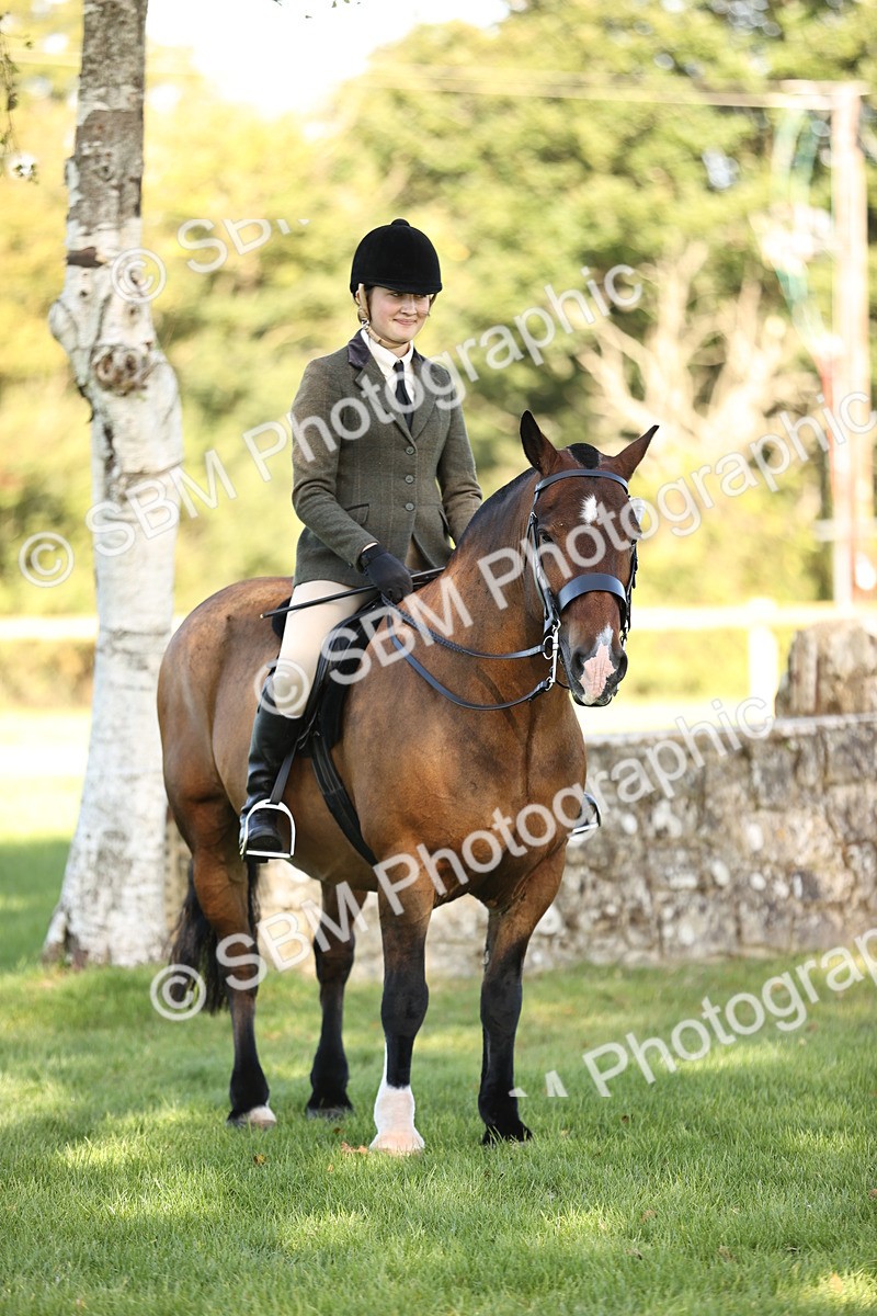 SBM_19115 - S3 - TSR Ridden Pony Showing