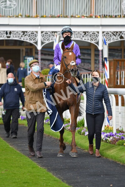 yr22052021r2-30 - Race 2 2.40pm William Hill Brontë Cup