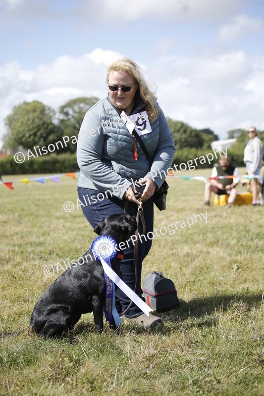 20250831-3720 - Dog Show