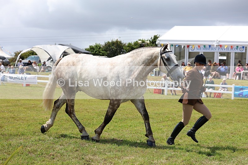 3E7A2161 - Class 10: Open Cob