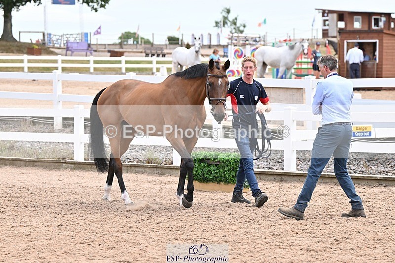 250716-142051-01033 - Trot Up 1.30 to 2.30