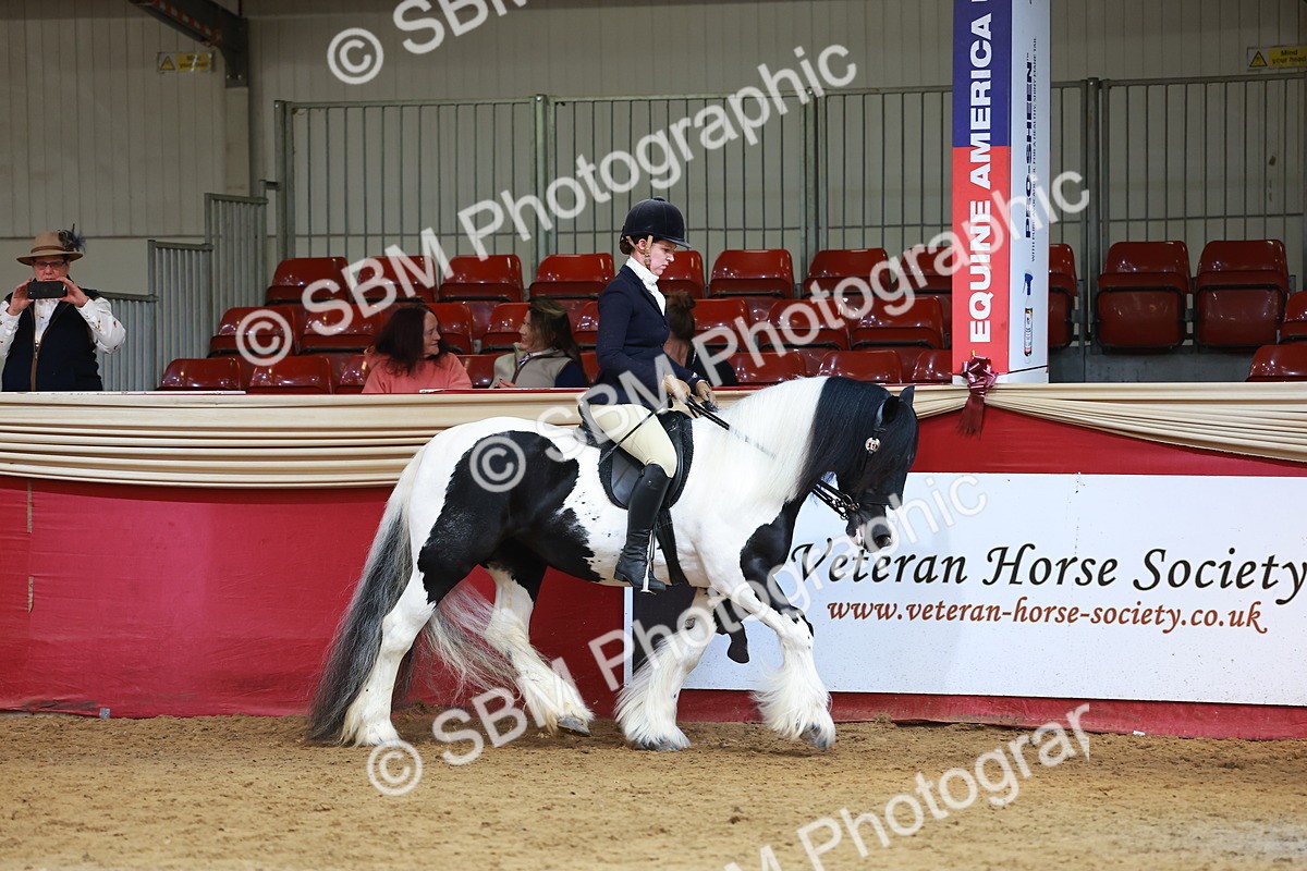 SBM_20297