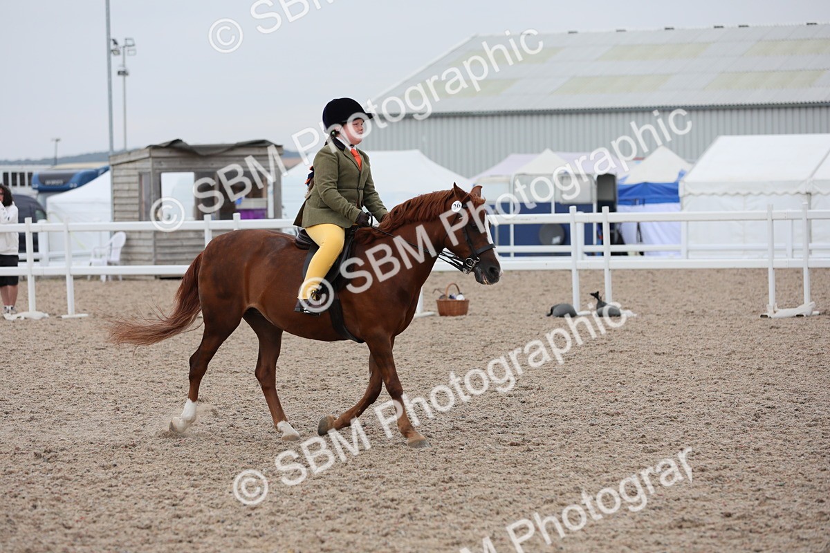 SBM_18162 - Class 316 Best Pony/Rider Combination