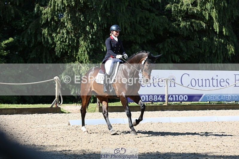 230526-094020-05123 - 357-VIVENDI_HERO-Saffron_Cresswell-WEDTrotUp+DR