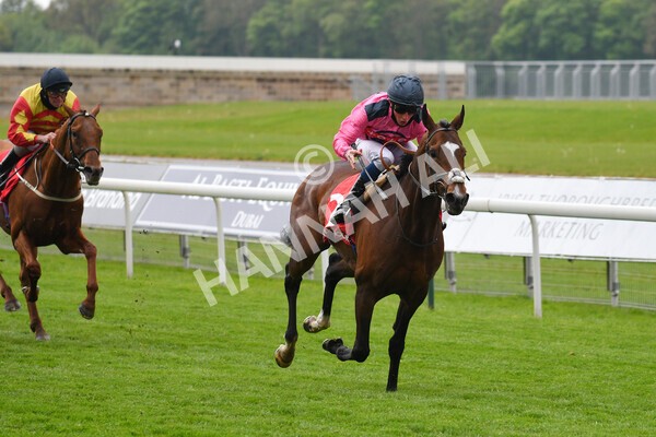 yr14052021r4-20 - Race 4 3.10pm The Matchbook Yorkshire Cup
