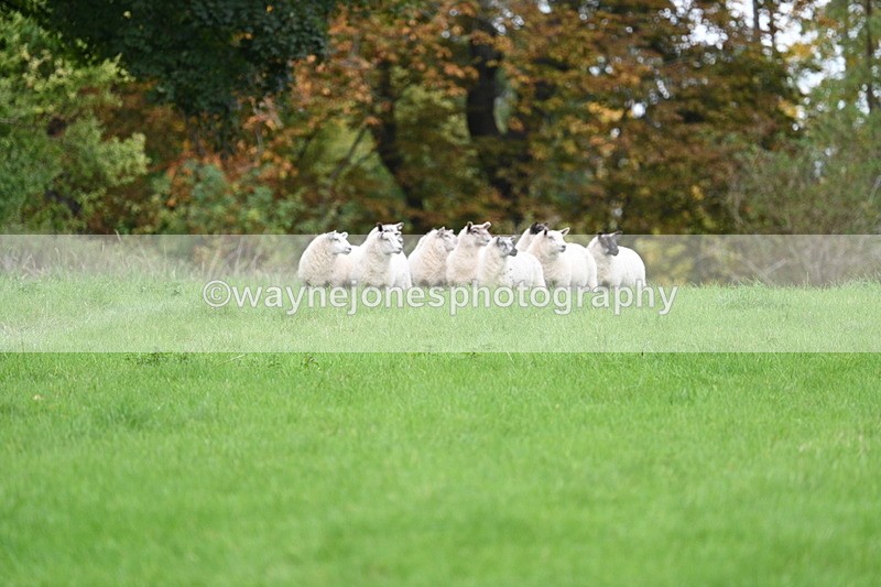 WJ7_4306 - Camera 1 Line 3