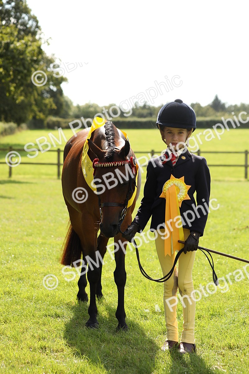 SBM_65613 - S48 - Show Pony & Show Hunter Pony In Hand