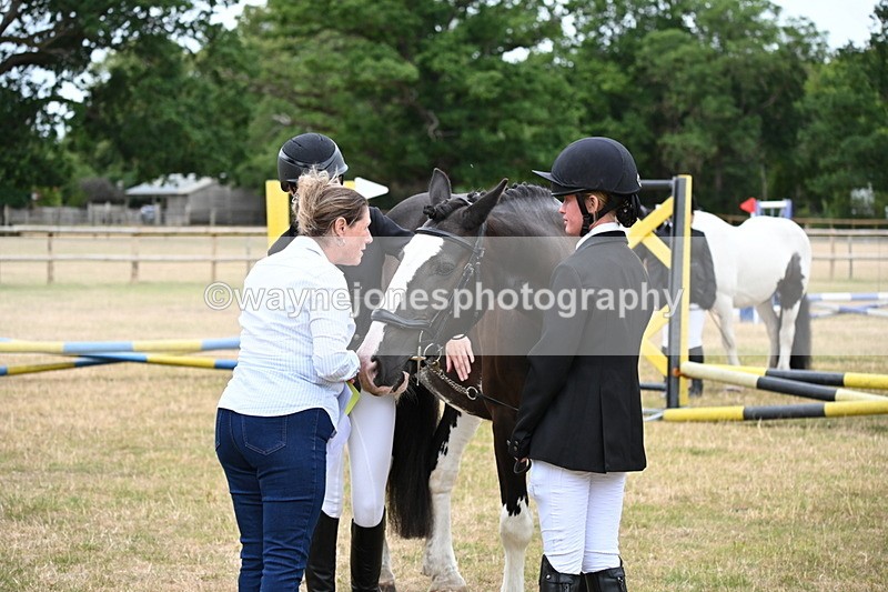 WJ6_4401 - Class 10 Coloured In-hand