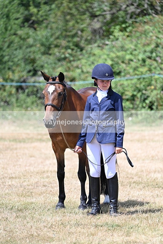 WJ7_2176 - Class 5 Most Handsome Gelding (up to 14.2hh) in hand