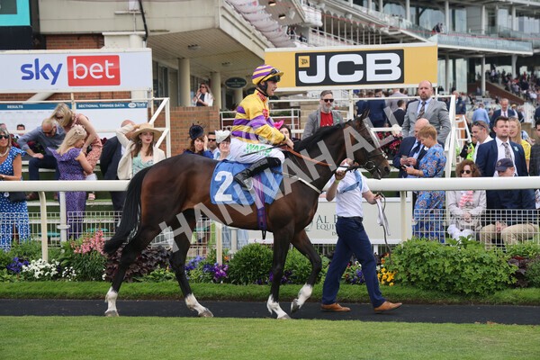 yr11062022r6-10 - Race 6 4.15pm Reg Griffin Appreciation EBFstallions.com Maiden Stakes