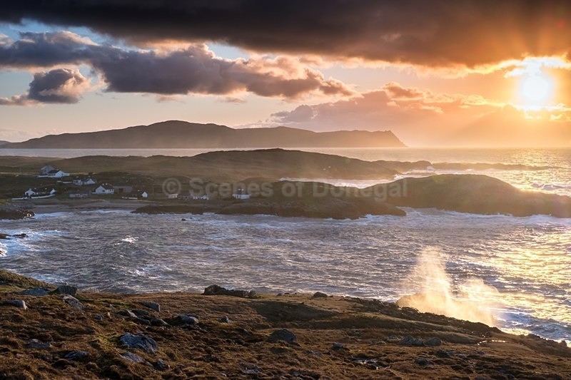 _MF23366-Edit - Dooey