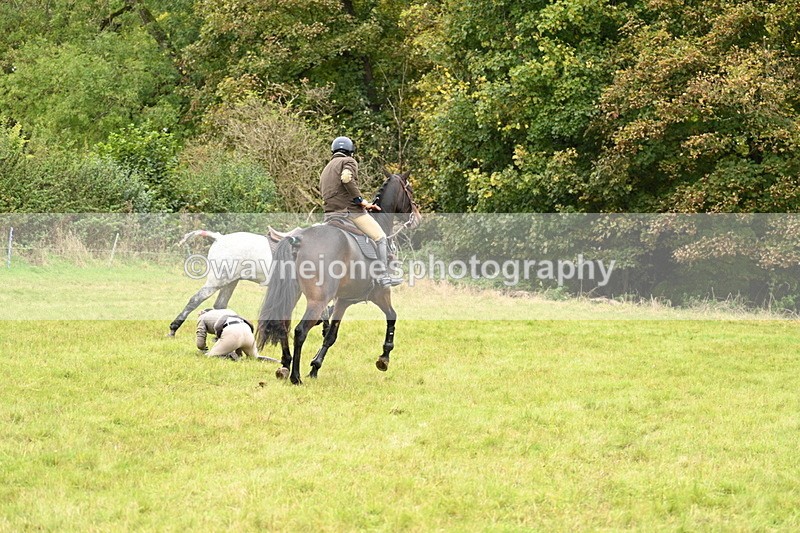 WJ7_4153 - Camera 1 Line 2