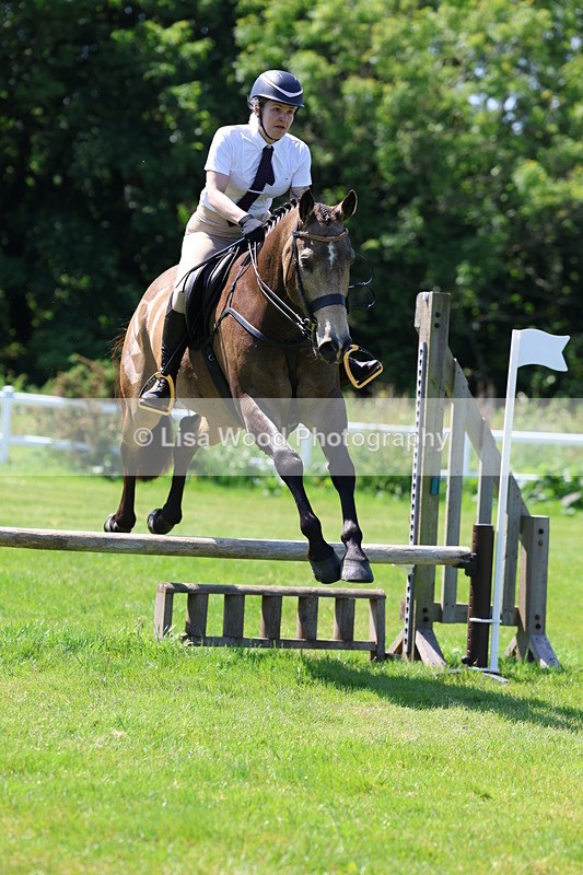 3E7A6928 - Class 30: Novice Working Hunter