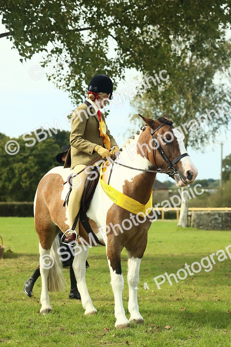 SBM_68141 - S57 - Part Bred Pony Ridden