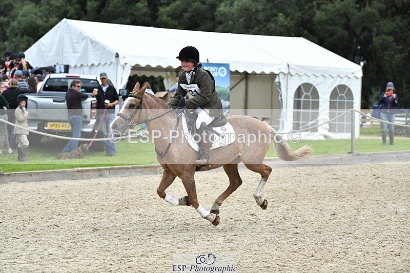 230827-144950-26530 - SJ 13.30 to End