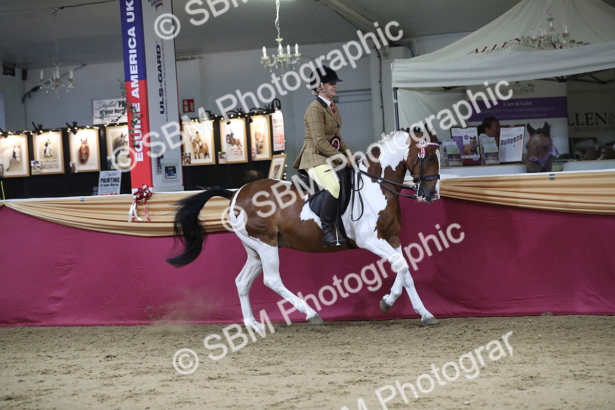 SBM_08512 - Class 11R Regional Ridden Veteran