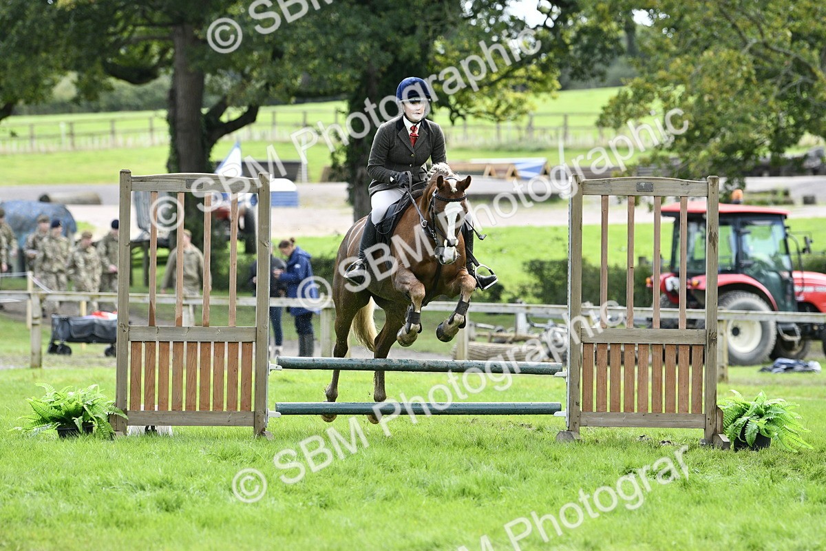SBM_45640 - S33 - Working Hunter Pony