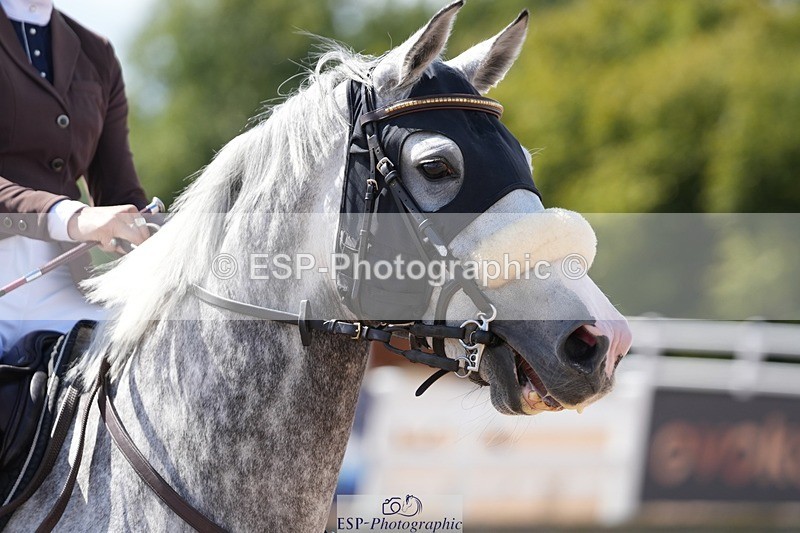 250912-130145-04335 - Cls 24 95cm Amateur Quali