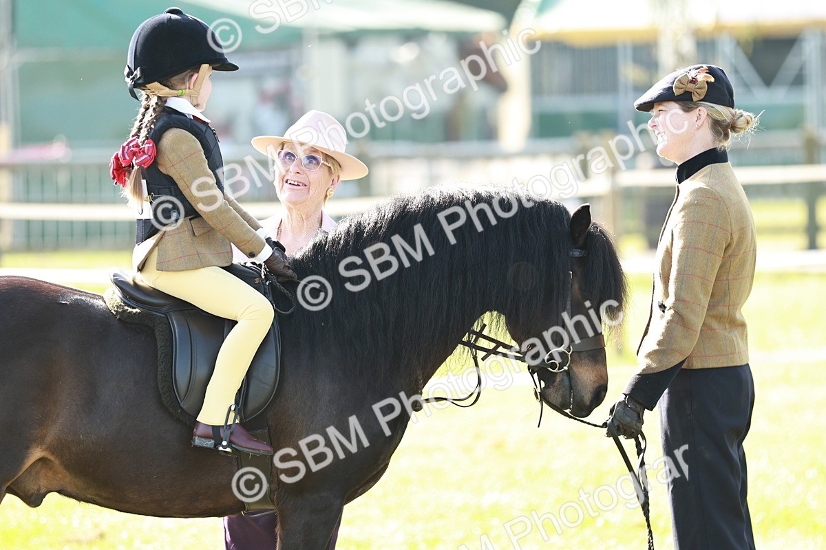 SBM_11150 - Class 106-107 - BSPS LIHS Working Sports Pony