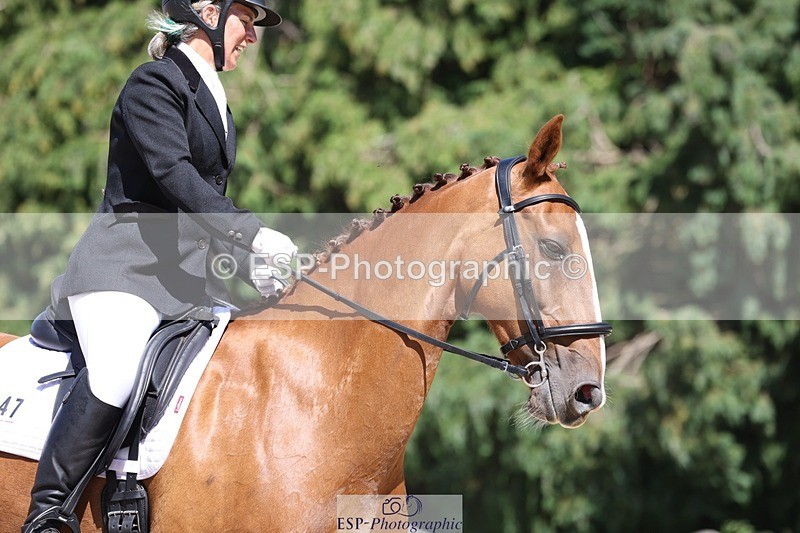 230811-142656-02021 - Cls 1 Prelim Bronze 13.30 to 14.50 break