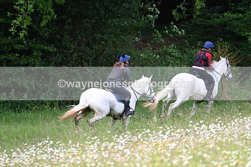 WJ7_8561 - Group 1 10am