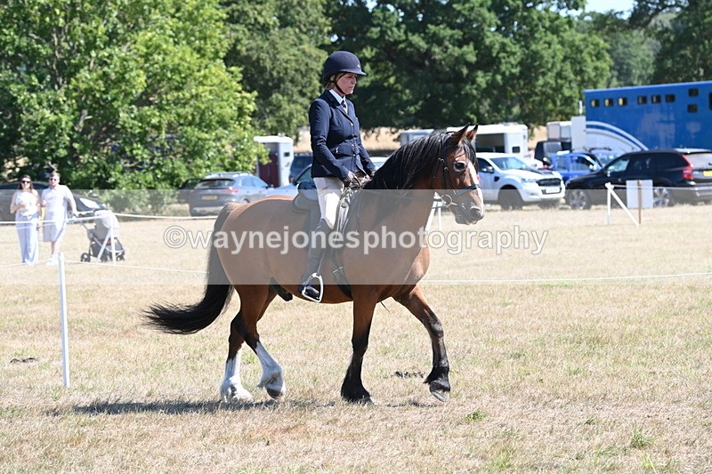 WJ6_8226 - Class 37a Best Loan Pony Ridden