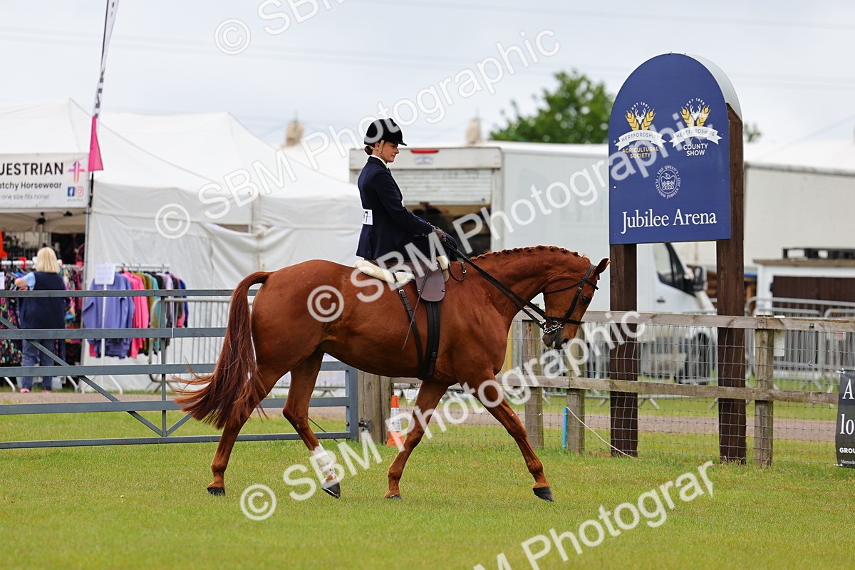 SBM_02751 - Class 9-11 Side Saddle including LIHS Rising Star Ladies Show Horse