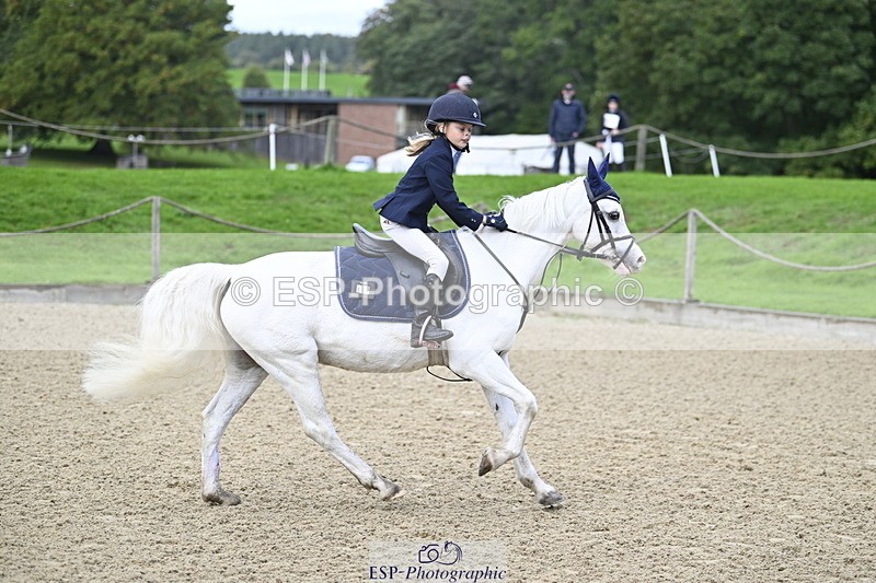 251005A-091118-02975 - Cls 02 GR 50cm