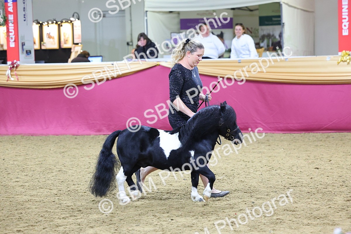 SBM_19228 - Class J Coloured Champ
