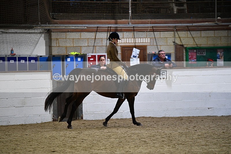 WJ5_8940 - Class 15 Ridden Show Horse