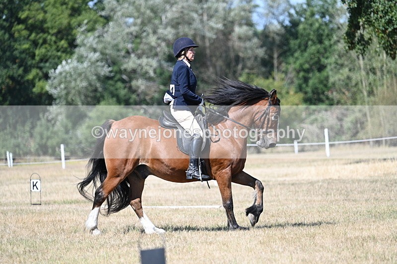 WJ7_0819 - Time 12:03 to 12:23