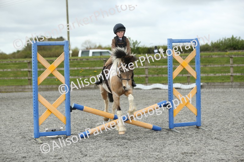 20260412-0648 - Show Jumping
