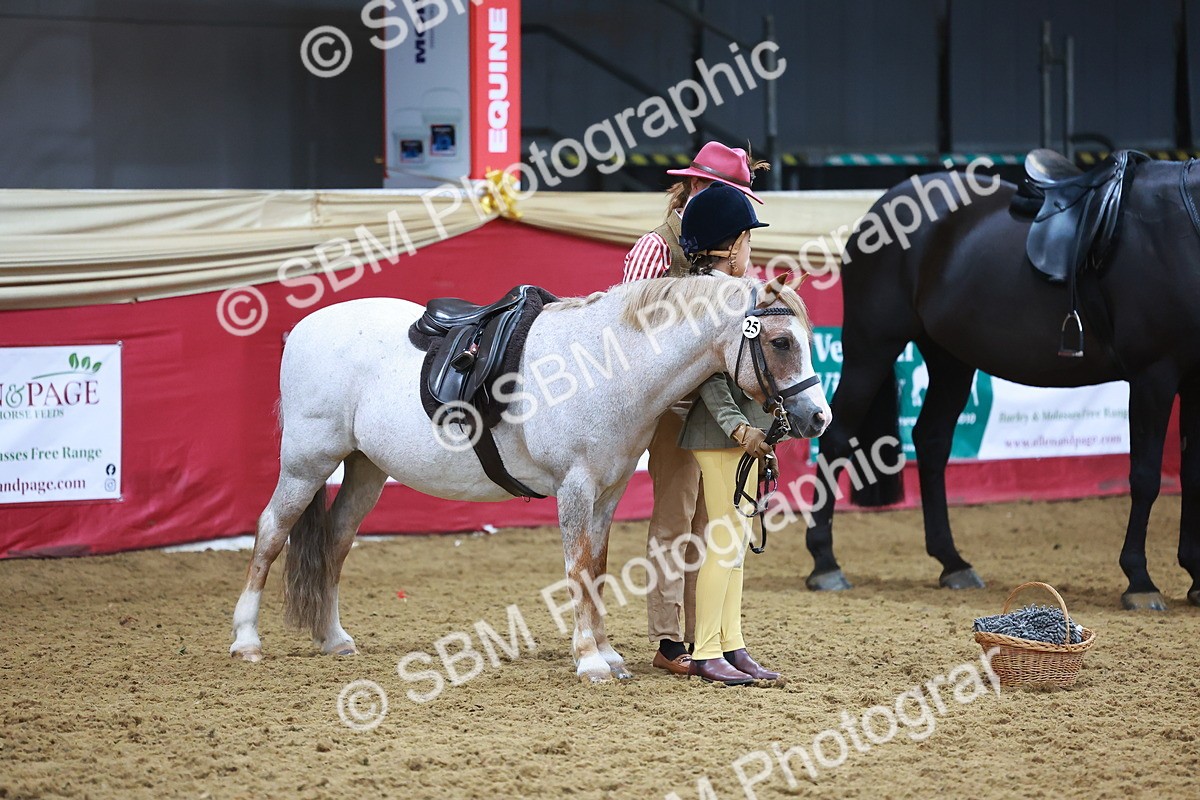 SBM_07709 - Class 101 - HOYS Veteran Qualifier - Ridden Diamond