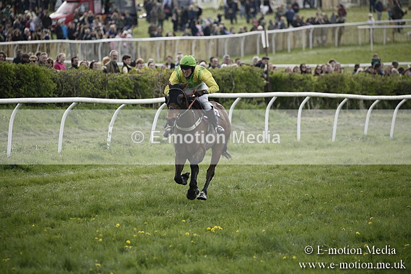 PtP 170417 355 - Old Berks Point-to-Point Lockinge 17/04/17
