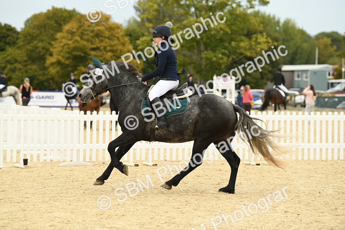 SBM_73054 - J16 - Junior Pony 75cm Championship