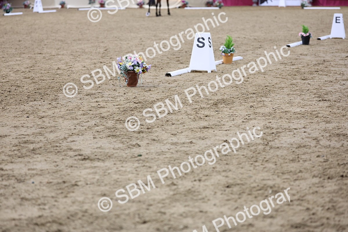 SBM_09417 - Class 51 Dressage to Music