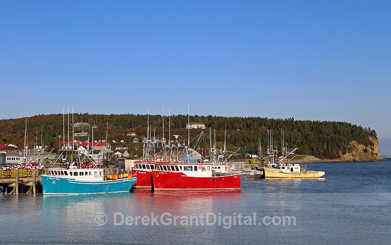 Lobster Boats at Alma Wharf - Boats